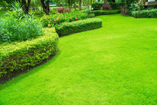 Landscape Design, Peaceful Garden, Green Garden And Lawn., Green Lawn, The Front Lawn For Background, The Beauty Of The Decorated Garden.
