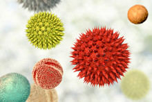 Pollen Grains From Different Plants, 3D Illustration. They Are Factors Causing Hay Fever And Allergic Rhinitis
