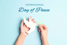 World Peace Day Greeting Card. Female Hands Hold Dove Of Peace With Olive Branch.