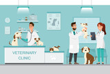 Fototapeta  - Veterinarian and doctor with dog and cat on counter in vet clinic