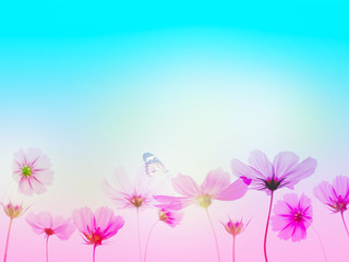 Wall Mural - Floral abstract pastel background with copy space.