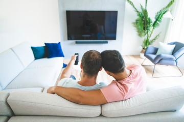 Wall Mural - Portrait of a Cute Male gay homosexual Couple at Home