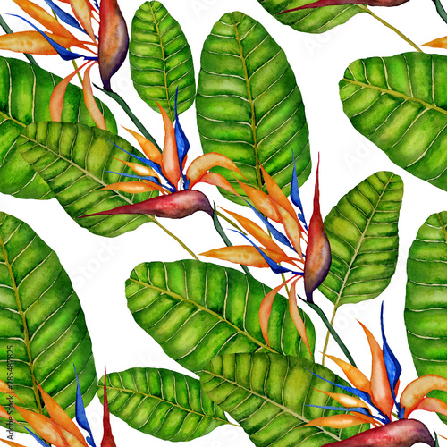 Watercolor seamless pattern with strelitzia reginae. Tropical floral print wi...