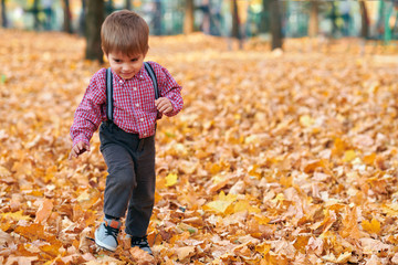 Happy child playing, posing, smiling and having fun in autumn city park. Bright yellow trees and leaves