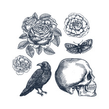 Raven, Flowers, Human Skull And Moth. Halloween Horror Design Kit. Vector Illustration