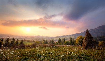 Wall Mural - sunrise in mountains with white flowers and picturesque valley