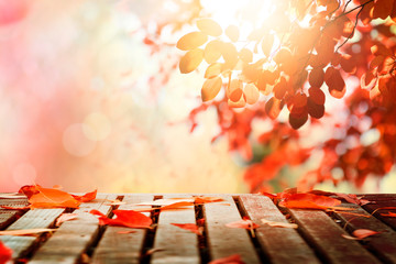 Poster - Wooden deck with autumn leaves in sunny day background with copy space