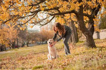 Portrait of a curly young woman hugging her golden retriever dog in the autumn park. yellow leaves background. Young curly woman sitting with her dog in autumn leaves