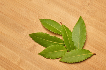 Fresh Laurel Leaves on wooden Background