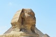 The head of the Great Sphinx of Giza, Cairo, Egypt. The Great Sphinx of Giza,  is a mythical creature with the head of a human and the body of a lion.