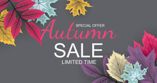 Abstract Vector Illustration Autumn Sale Background With Falling Autumn Leaves