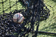 Lone baseball in mesh netting of batting cage