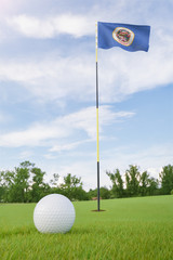 Wall Mural - Minnesota flag on golf course putting green with a ball near the hole