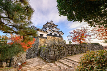 Sticker - Beautiful sky during the autumn leaves season at Hikone Castle, Shiga Prefecture Japan.