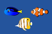 Illustration Of Beautiful Sea Fish, Minimal Cartoon Style.