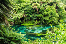 Turquoise Blue Water Of Te Waihou River, Surrounded By Lush Green Foliage