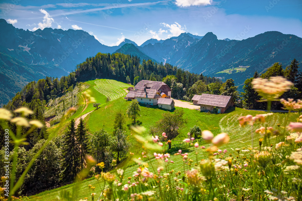 Mountain landscape, Alps in Slovenia with farm and blooming meadows - obrazy, fototapety, plakaty 
