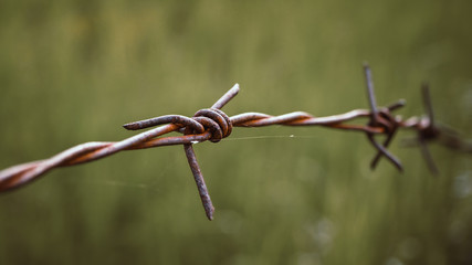 Barbed wire. Barbed wire on fence to feel worrying Concept