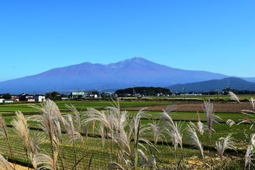 鳥海山（出羽富士）／ 山形県の最高峰、標高2,236mの鳥海山（ちょうかいさん）です。日本百名山、日本百景、日本の地質百選に選定されている活火山で、山頂に雪が積もった姿が富士山にそっくりなため、出羽富士（でわふじ）と呼ばれ親しまれています。