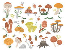 Vector Set Of Flat Funny Mushrooms With Berries, Leaves And Insects. Autumn Clip Art For Children’s Design. Cute Fungi Illustration With Acorns And Cones.