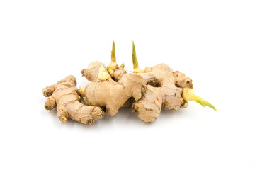 Wall Mural - Fresh sprouted ginger isolated on white background