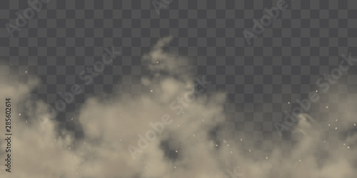 Cuadros en Lienzo Road dust cloud with dirt or soil particles, brown color powder splash frozen motion 3d realistic vector illustration isolated on transparent background