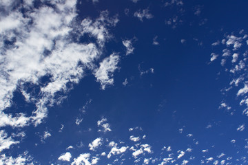 clear fresh bright blue sky space with fluffy white clouds