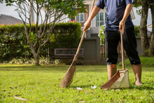 The Man Sweeping Leaves Fall To The Ground Lawn. At Home