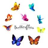 Fototapeta Motyle - Drawing butterflies watercolor