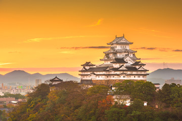 Fototapete - Himeji Castle in the autumn season.