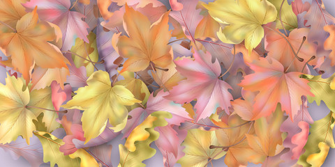 Poster - Autumn leaves background