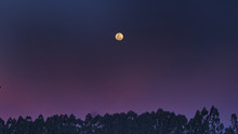Full Moon In The Purple Sky