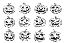 Halloween Pumpkins Set. Hand Drawn Illustration.