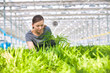 © MDBPIXS - Mid adult female botanist examining herb seedlings in plant nursery