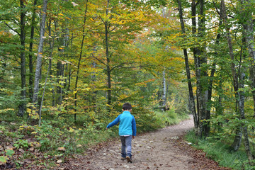 Cute boy traveling in Plitvice National Park, Croatia, in the fall