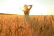 girl in blue dress walking in golden ripe wheat field at sunset