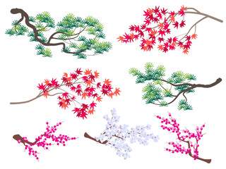 Wall Mural - Korean Pine, Japanese Maple and Blooming Cherry Branches
