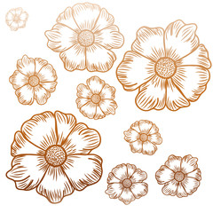 Poster - pattern of flowers isolated icon