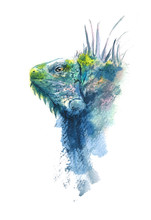 Watercolor Illustration, Sketch Of A Galapagos Iguana
