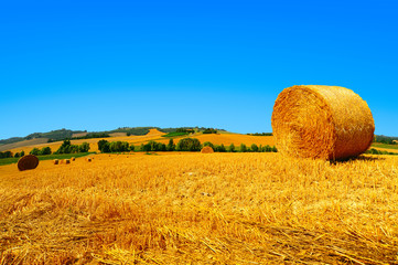 Wall Mural - Wheat field with hay bales