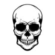 Human skull isolated on white background. Design element for poster, card, banner, t shirt, emblem, sign. Vector illustration
