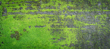 Moss Green Texture. Moss Background. Green Moss On Grunge Texture, Background. Long Web Banner