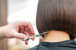 © okskukuruza - Hands of professional hair stylist cuting hair tips with scissors and comb.