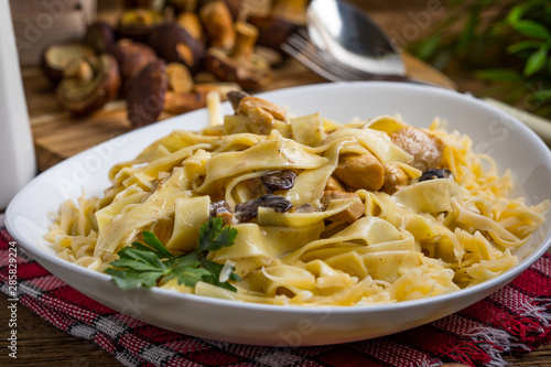 Fotomural Tagliatelle pasta with forest mushrooms and chicken.
