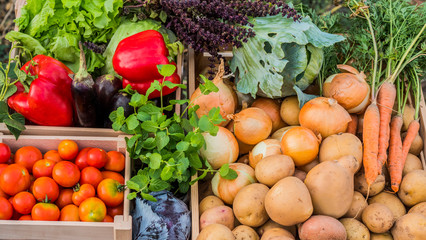 Wall Mural - Boxes with seasonal vegetables at the Farmer's Market counter, top view