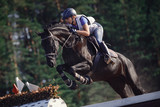 close portrait of attractive rider woman jumping over obstacle on black horse during eventing cross country competition in summer