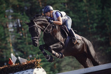 Close Portrait Of Attractive Rider Woman Jumping Over Obstacle On Black Horse During Eventing Cross Country Competition In Summer