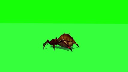 fantasy spider is coming, stands, looks around and runs away - green screen