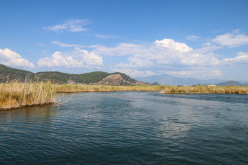 Wall Mural - Boat tour on the river - dalyan iztuzu beach