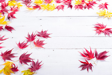 Canvas Print - multi colored autumn leaves on white wooden table background